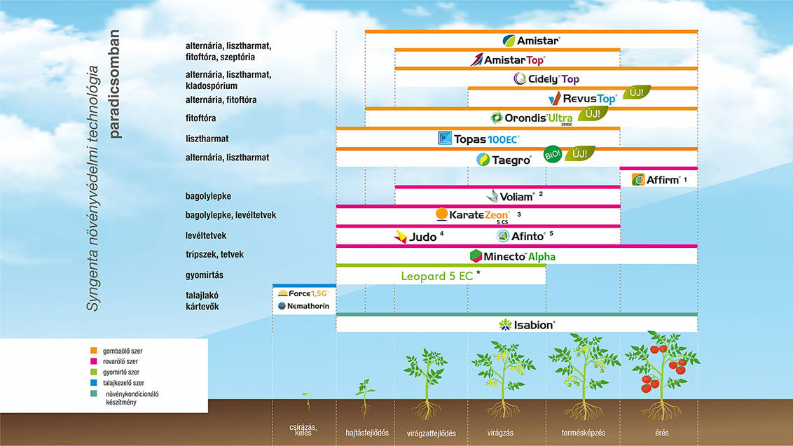 Paradicsom növényvédelme - 2024
