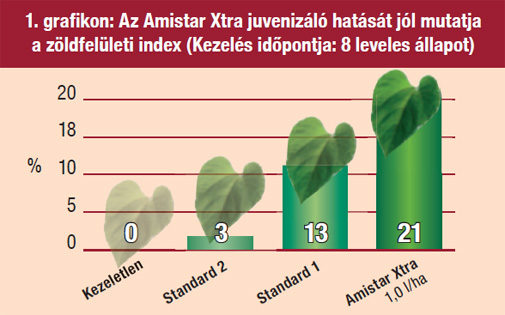 Az Amistar Xtra juvenizáló hatását jól mutatja a zöldfelületi index (Kezelés időpontja: 8 leveles állapot)