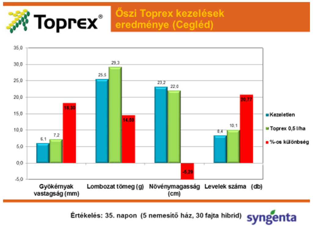 Őszi Toprex kezelések eredménye (Cegléd)