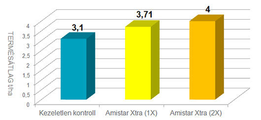 Az Amistar Xtra kezelés hatása a termésmennyiségre