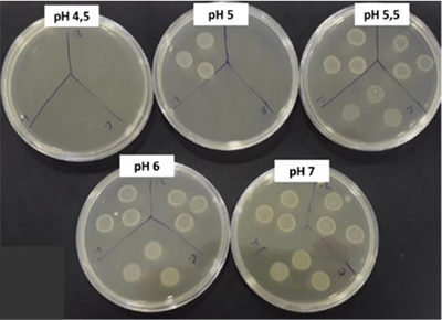 A Vixeran 5-9 pH-jú permetlében is életképes marad