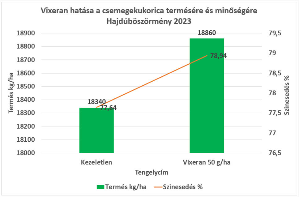 Vixeran hatása a csemegekukorica termésére és minőségére Hajdúböszörmény 2023 