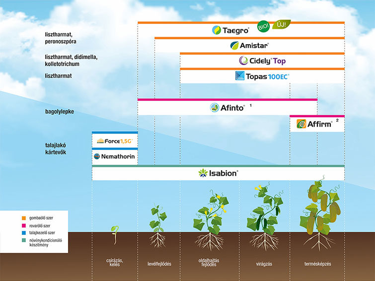 Uborka növényvédelme - 2024