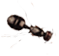 ant-body