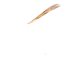 fly-body