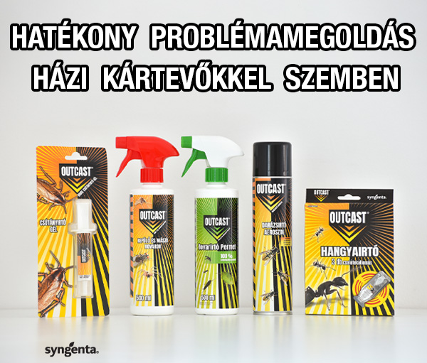 banner-mobile