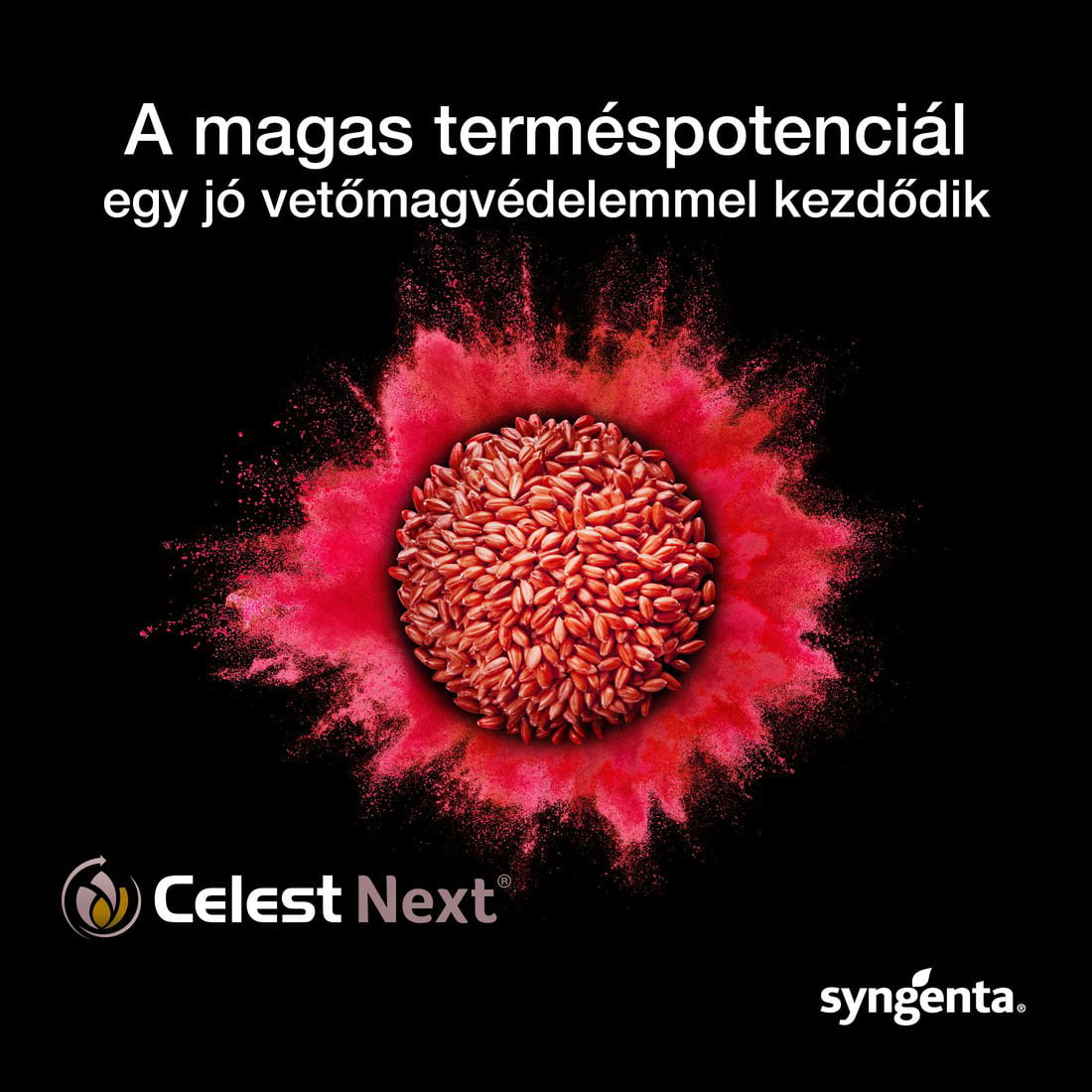 Celest Next - a magas terméspotenciál egy jó vetőmagvédelemmel kezdődik
