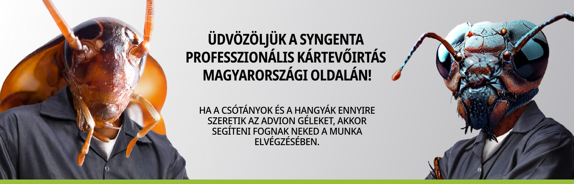 Üdvözöljük a Syngenta  Professzionális Kártevőirtás  magyarországi oldalán!