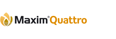Maxim Quattro