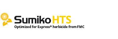 Sumiko HTS