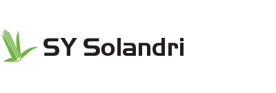 SY Solandri kukorica hibrid vetőmag