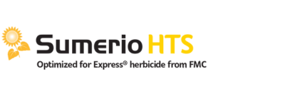 Sumerio HTS napraforgó hibrid vetőmag
