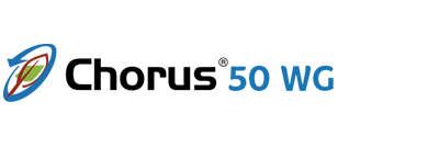 Chorus 50 WG gombaölő szer