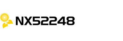 NX52248 napraforgó hibrid vetőmag
