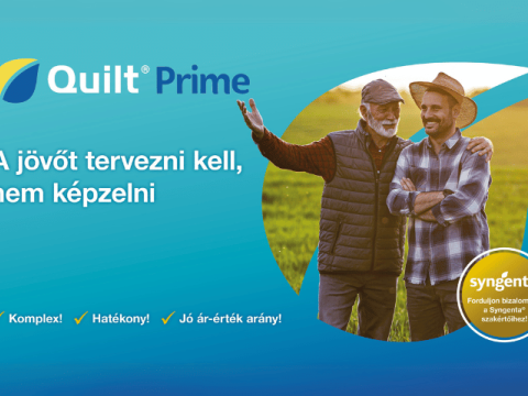 Quilt Prime - Hatékonyság és jó ár-érték arány – Új kalászos gombaölő szer a Syngenta portfóliójában