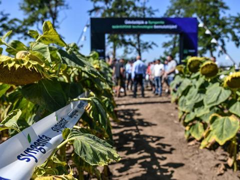 Új kihívások, innovatív válaszok a napraforgó és kukorica termesztésében - Syngenta crop-Ex 2025 rendezvény