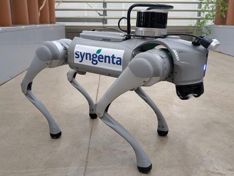 Robotkutya: az agronómus új legjobb barátja
