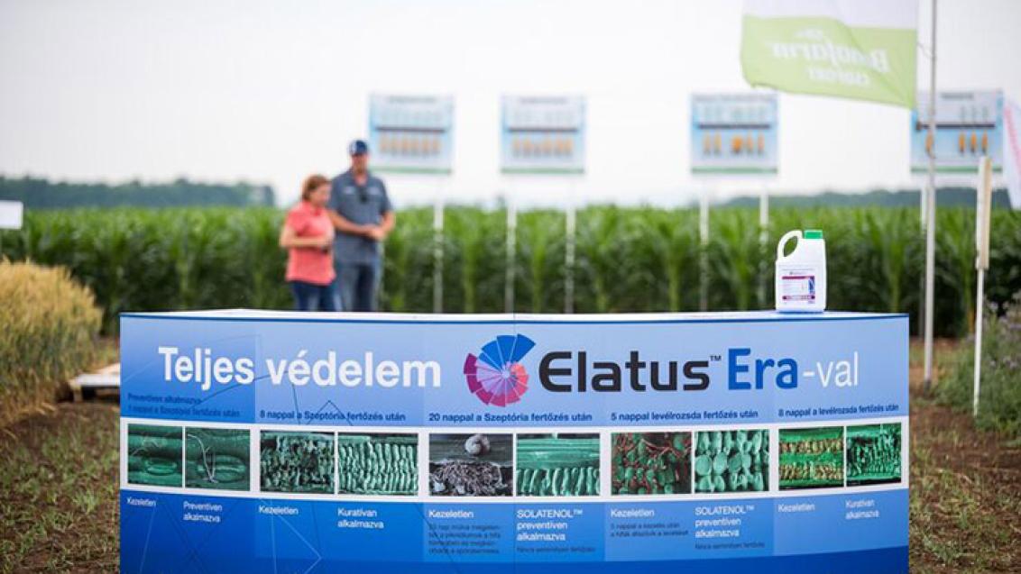 Syngenta Szer-show