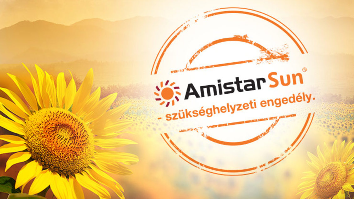 Amistar Sun – szükséghelyzeti engedély