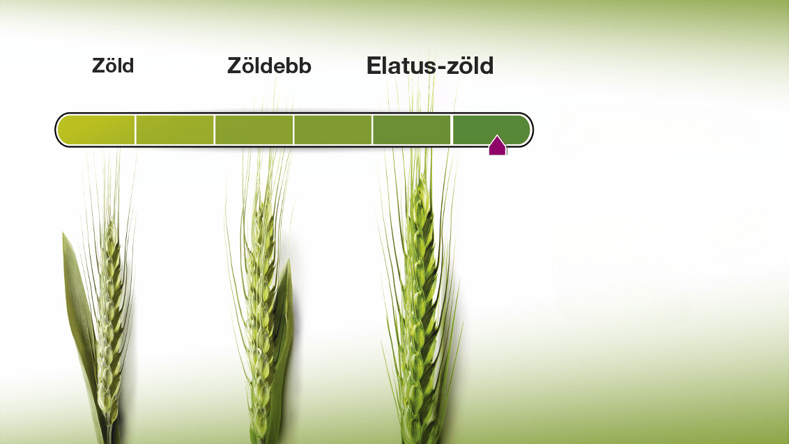 Elatus Era