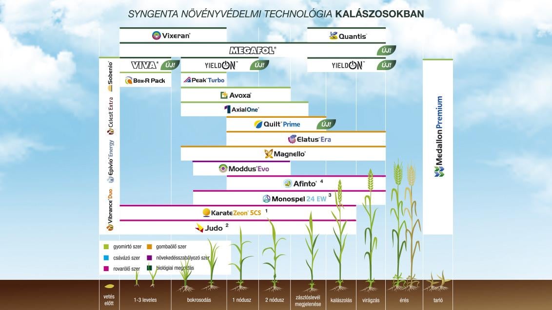 SYNGENTA NÖVÉNYVÉDELMI TECHNOLÓGIA KALÁSZOSOKBAN - 2025
