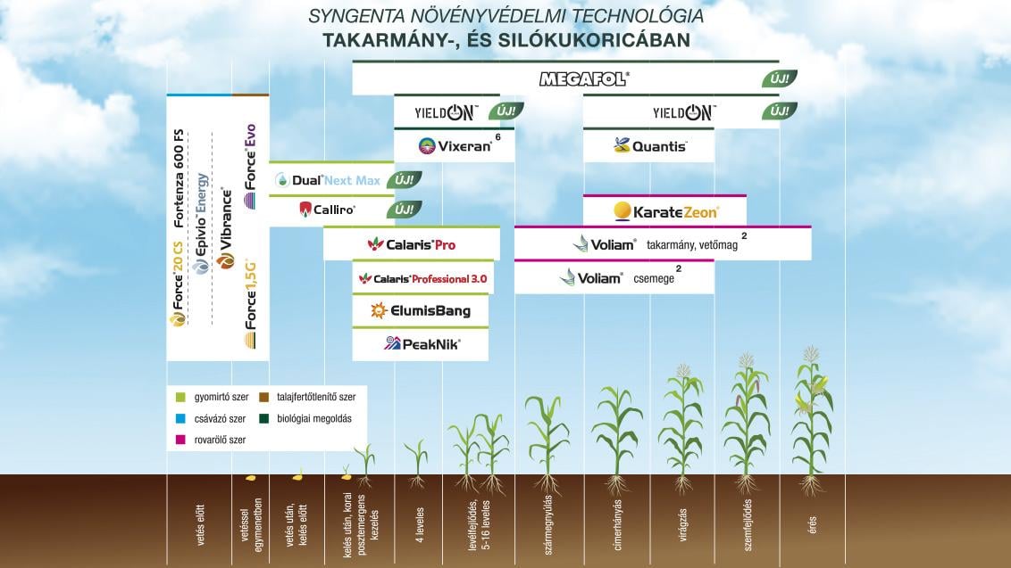 SYNGENTA NÖVÉNYVÉDELMI TECHNOLÓGIA KUKORICÁBAN - 2025