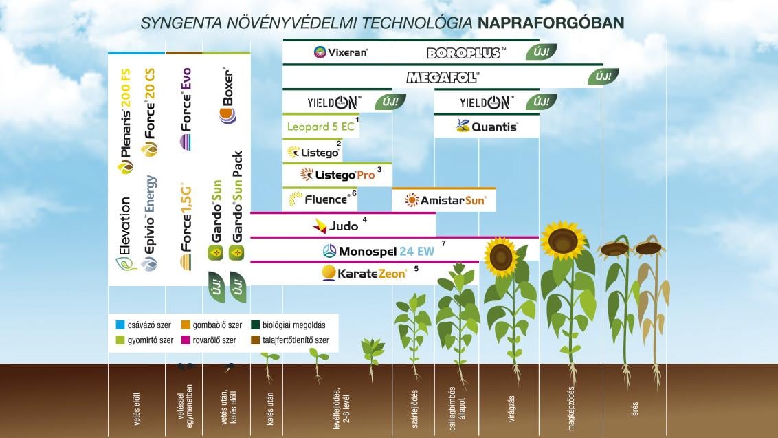 SYNGENTA NÖVÉNYVÉDELMI TECHNOLÓGIA NAPRAFORGÓBAN - 2025