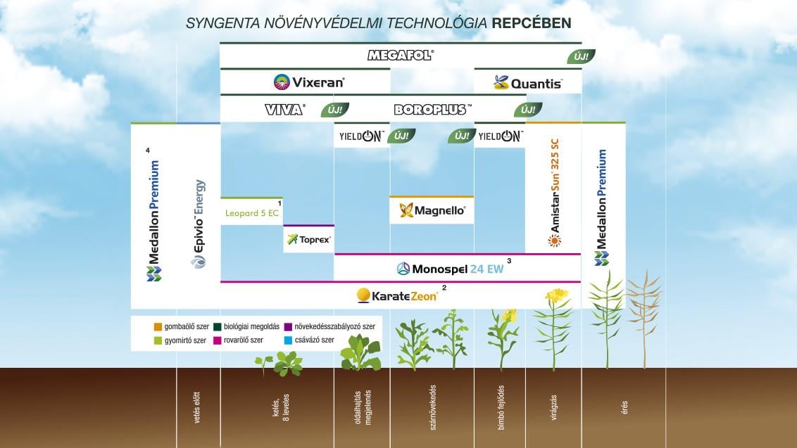 SYNGENTA NÖVÉNYVÉDELMI TECHNOLÓGIA REPCÉBEN - 2025
