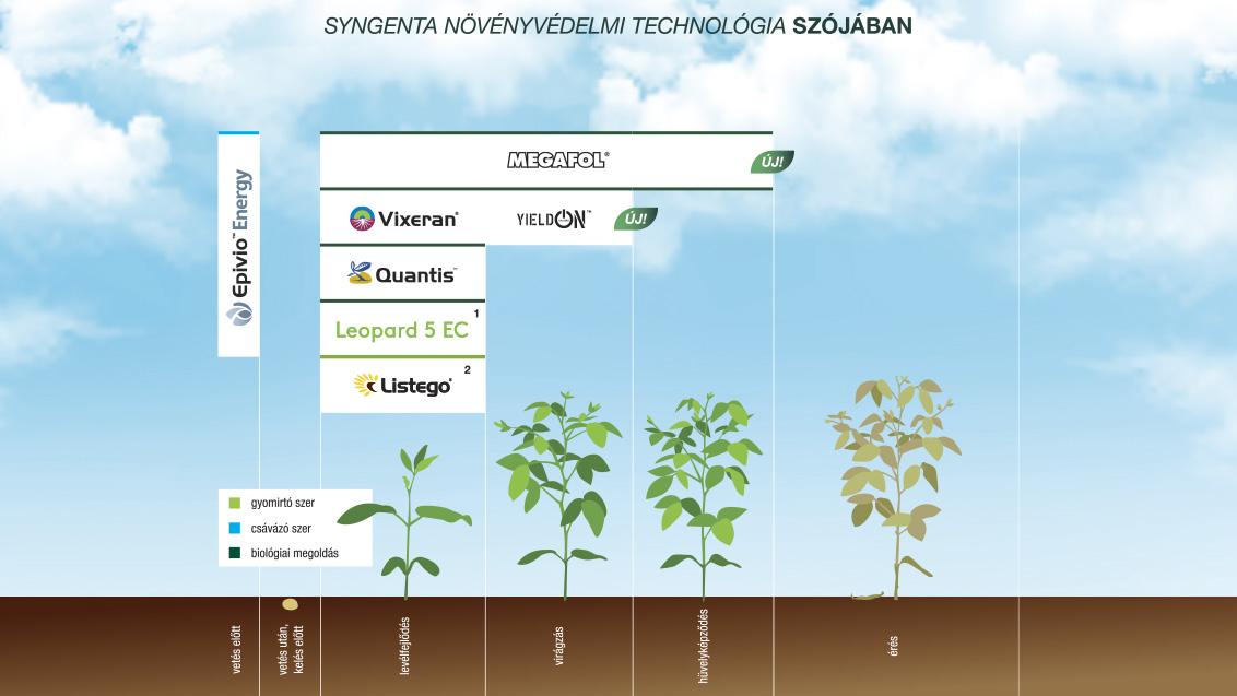 SYNGENTA NÖVÉNYVÉDELMI TECHNOLÓGIA SZÓJÁBAN - 2025