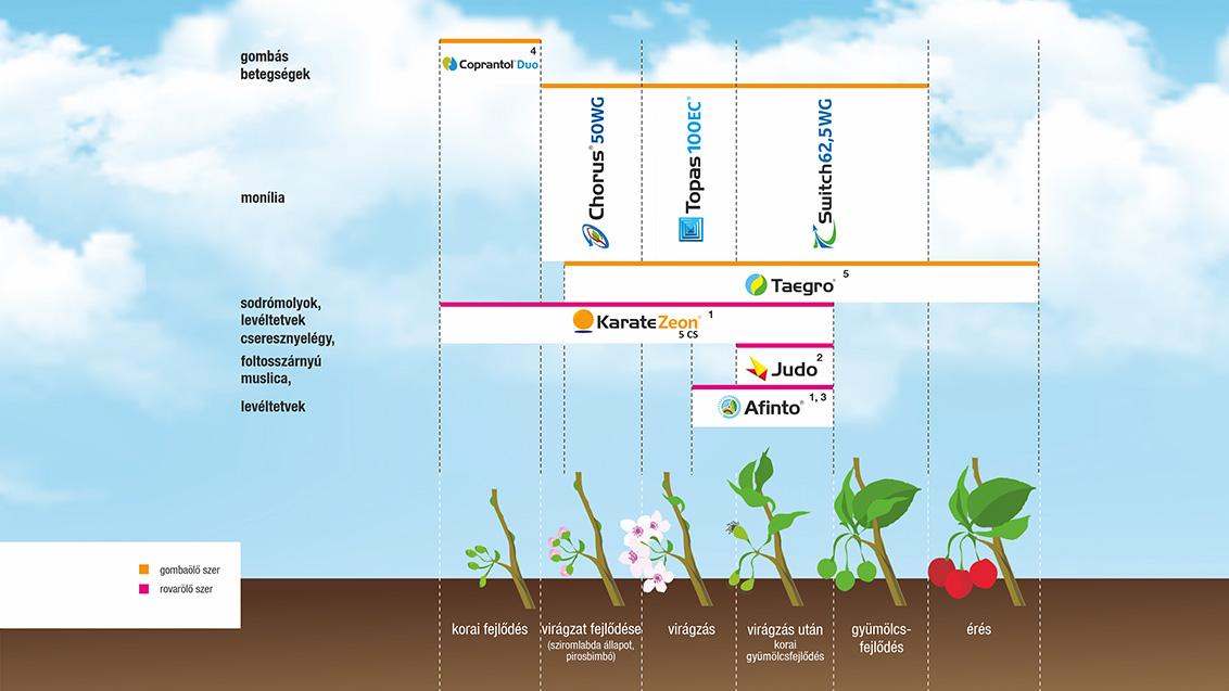 SYNGENTA NÖVÉNYVÉDELMI TECHNOLÓGIA MEGGYBEN ÉS CSERESZNYÉBEN - 2026