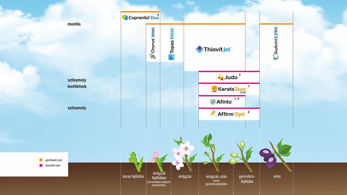 SYNGENTA NÖVÉNYVÉDELMI TECHNOLÓGIA SZILVÁBAN - 2026