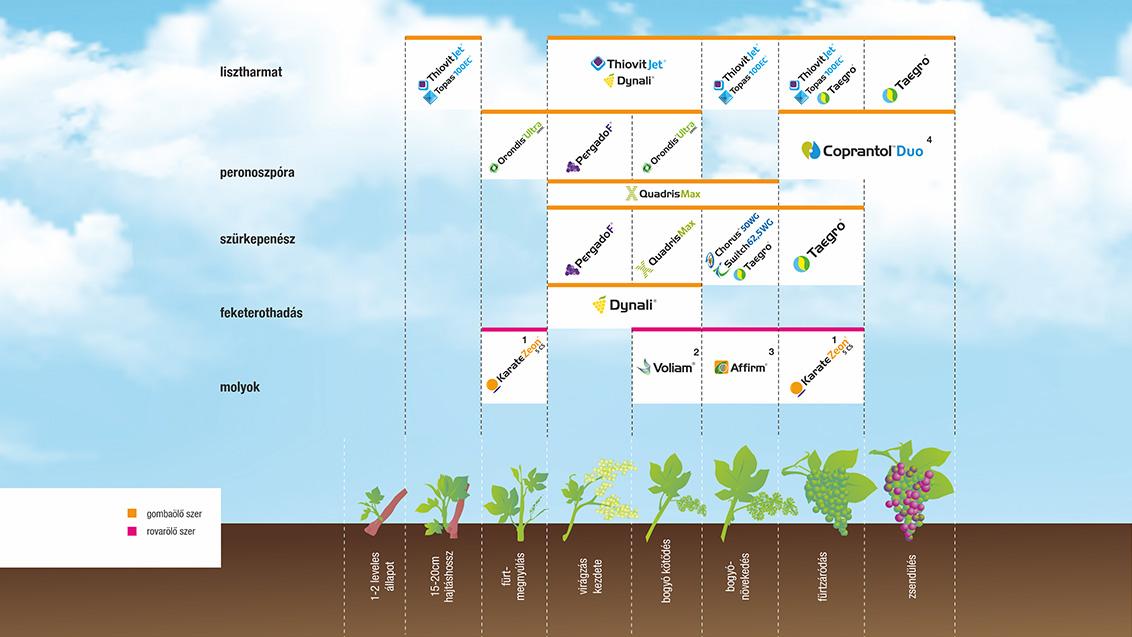 SYNGENTA NÖVÉNYVÉDELMI TECHNOLÓGIA SZŐLŐBEN - 2026