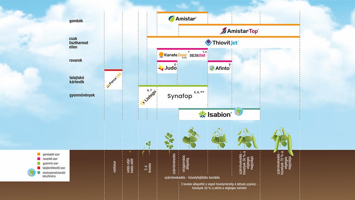 SYNGENTA NÖVÉNYVÉDELMI TECHNOLÓGIA ZÖLDBORSÓBAN - 2026