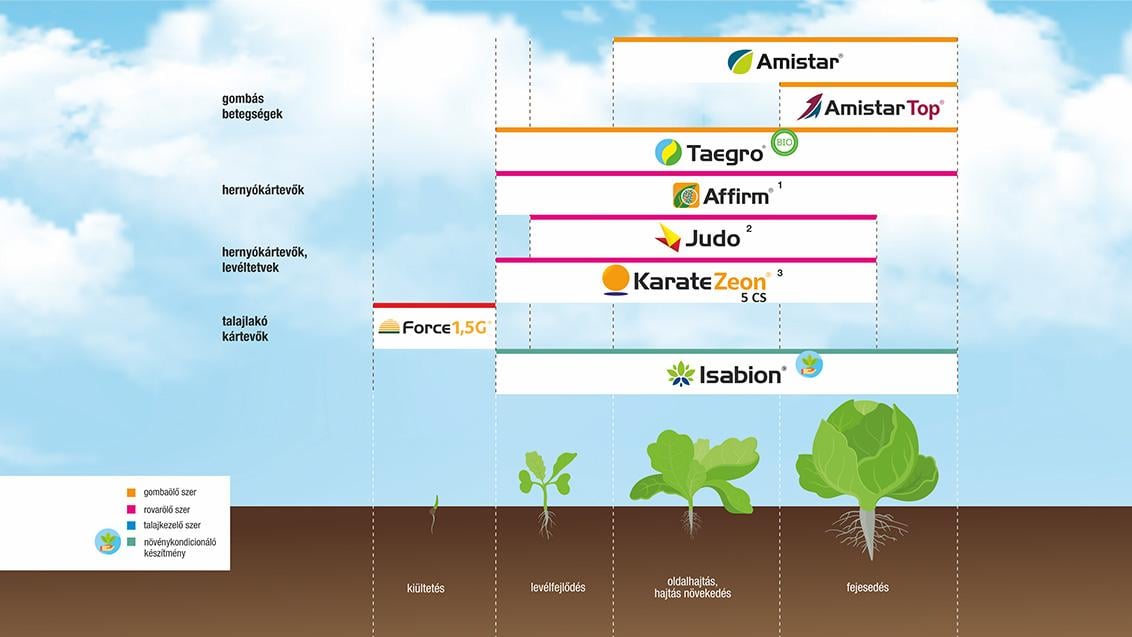 SYNGENTA NÖVÉNYVÉDELMI TECHNOLÓGIA KÁPOSZTAFÉLÉKBEN - 2026