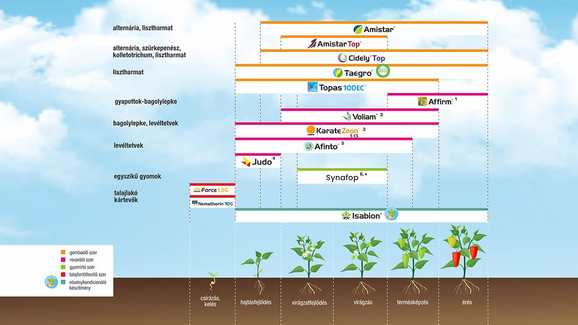 SYNGENTA NÖVÉNYVÉDELMI TECHNOLÓGIA PAPRIKÁBAN - 2026