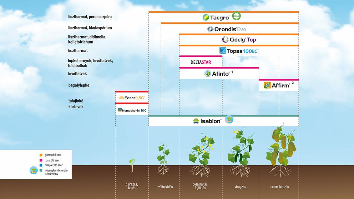 SYNGENTA NÖVÉNYVÉDELMI TECHNOLÓGIA UBORKÁBAN - 2026