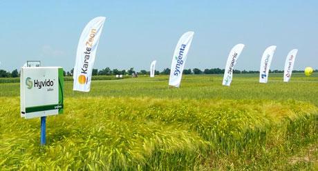 Syngenta Hyvido