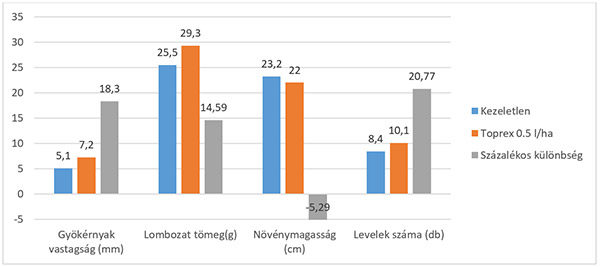 Őszi Toprex kezelés hatása a növényállományra (forrás: Syngenta magyarországi fejlesztői kísérlet