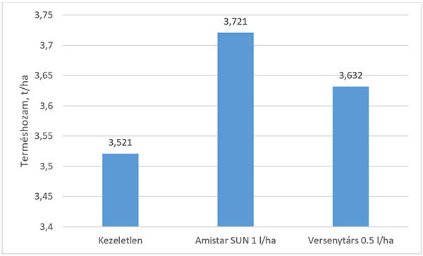 Az Amistar SUN kezelés plusz 200 kg/ha terméstöbbletet jelentett a kezeletlen kontrollhoz képest (forrás: Syngenta fejlesztői kísérlet, 2019, HU, n=2)