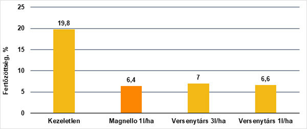 Magnello kalászfuzáriózis elleni hatékonysága (kezelés ideje: 2019.05.17. virágzás kezdete, SYN magyarországi fejlesztői kísérlet, n=2)
