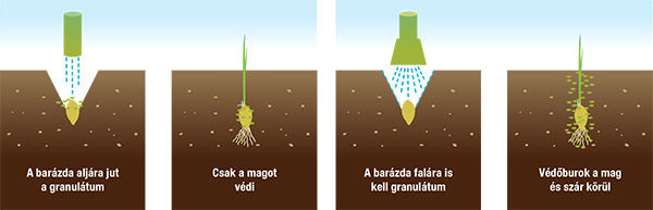 Csávázással vagy talajfertőtlenítő szerrel tudjuk védeni a kelő növényünket a drótférgektől. 