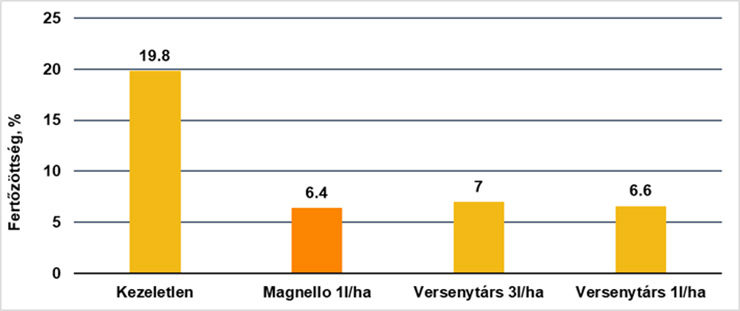 3. ábra: Magnello és versenytársak hatékonysága kalászfuzáriózis ellen (Syngenta fejlesztői kísérlet, 2019, n=2, Boros Szilárd)