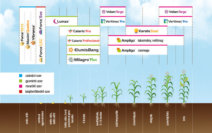 Syngenta növényvédelmi technológia kukoricában - 2021