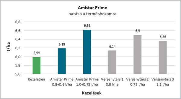​2. ábra: Amistar Prime hatása a terméshozamra (kezelés ideje: 2020.04.27. 3 nódusz, Syngenta fejlesztői kísérlet, 2020. n=4, Boros Szilárd)
