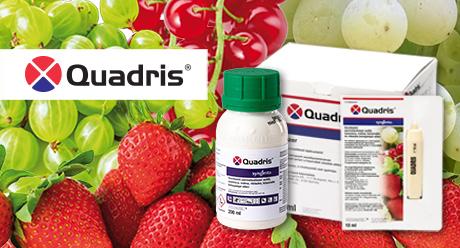 QUADRIS gombaölő szer
