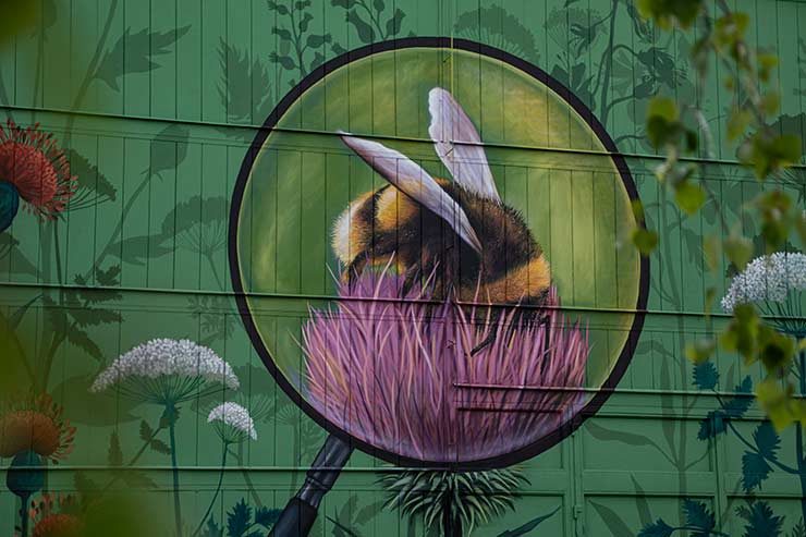 Beporzó hadművelet: óriás falfestménnyel, méhlegelőkkel a városi biodiverzitásért 