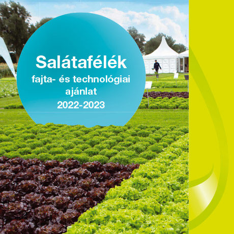 Salátafélék fajta- és technológiai ajánlat - 2022-2023