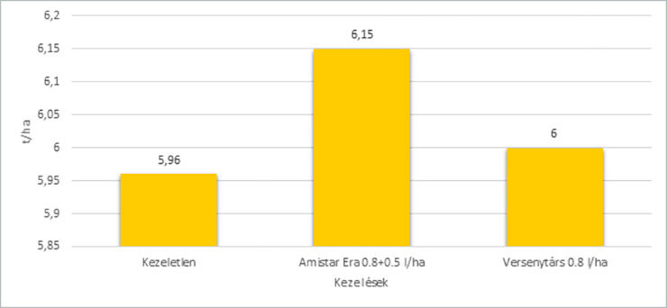 1.ábra: Amistar Era hatása a terméshozamra (kezelés ideje: 2-3 nódusz, Syngenta fejlesztői kísérlet 2021., n=4, Boros Szilárd)