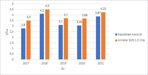 7.ábra: Amistar SUN kezelés hatása a napraforgó terméshozamára (forrás: Syngenta fejlesztői kísérletek 2017-2021, Boros Szilárd)