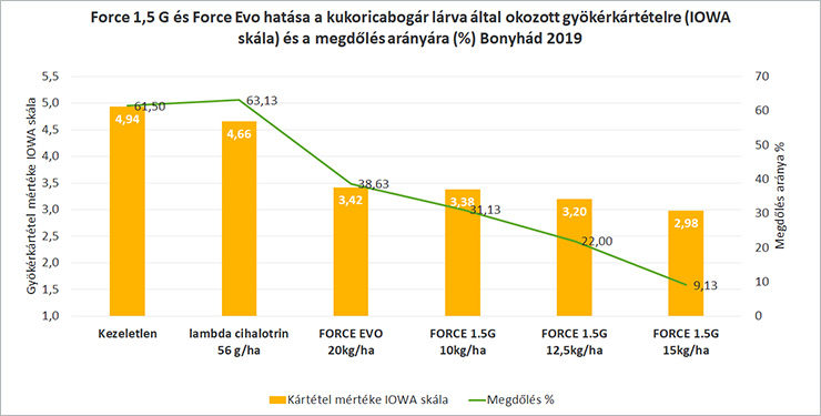 1. árba: Force 1,5 G és Force Evo hatása a kukoricabogár lárva által okozott gyökérkártételre (IOWA skála) és a megdőlés arányára (%), Bonyhád 2019